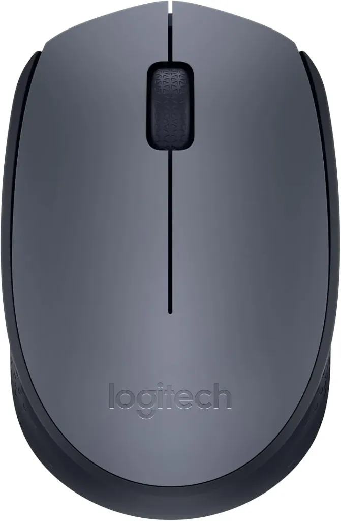 Souris Sans Fil Logitech M170